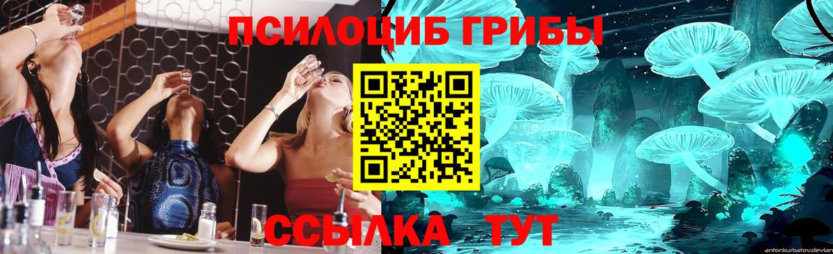 Псилоцибиновые грибы GOLDEN TEACHER  Вход с VPN  Псилоцибиновые грибы MAGIC MUSHROOMS  Кисловодск 